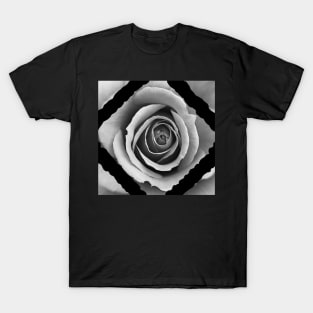 White Rose Dimond T-Shirt